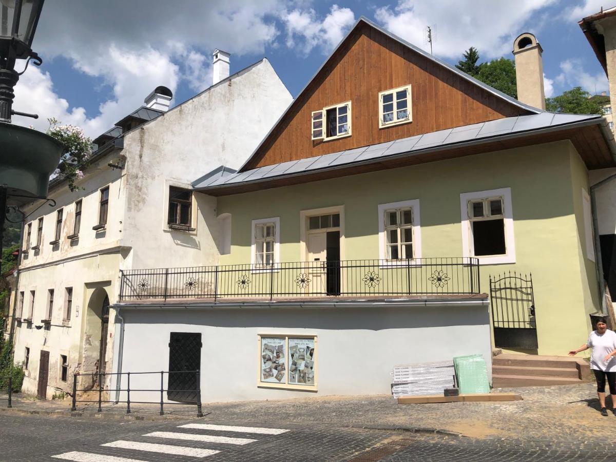 Apartman Vila Rosenberg Banska Stiavnica Ngoại thất bức ảnh