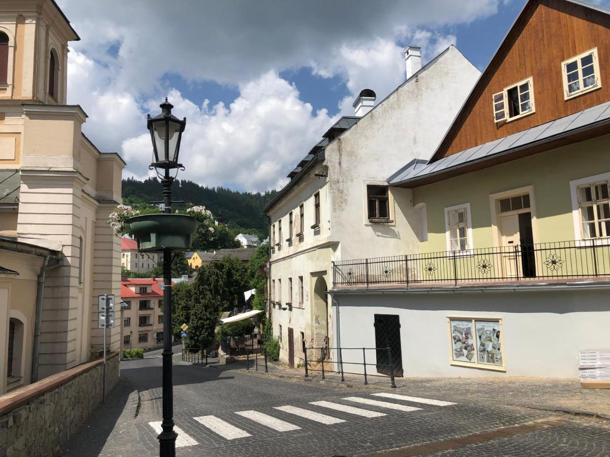 Apartman Vila Rosenberg Banska Stiavnica Ngoại thất bức ảnh